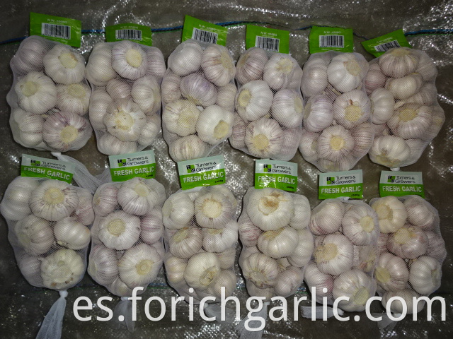 Normal White Garlic Of Fresh 2019